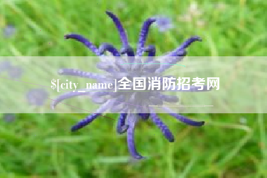 菏泽全国消防招考网