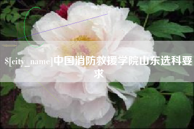 菏泽中国消防救援学院山东选科要求