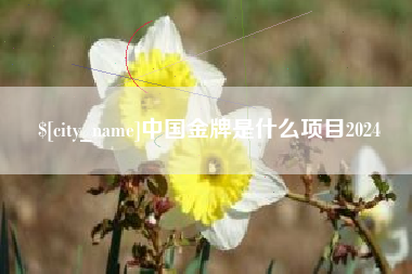 菏泽中国金牌是什么项目2024