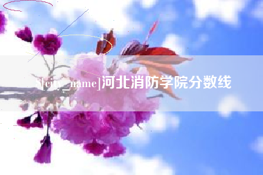 菏泽河北消防学院分数线