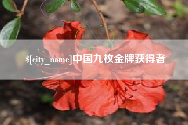 菏泽中国九枚金牌获得者