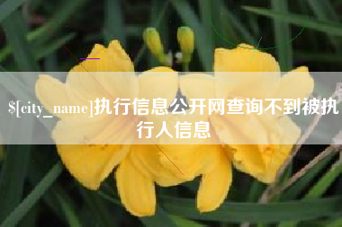 菏泽执行信息公开网查询不到被执行人信息