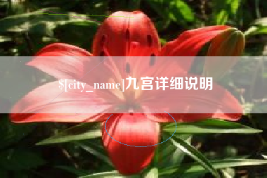 菏泽九宫详细说明