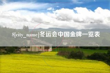 菏泽冬运会中国金牌一览表