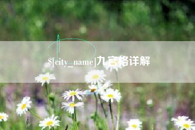 菏泽九宫格详解
