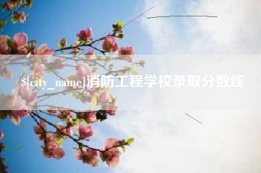 菏泽消防工程学校录取分数线