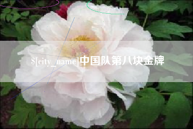 菏泽中国队第八块金牌