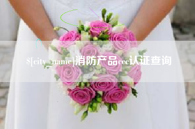 菏泽消防产品ccc认证查询