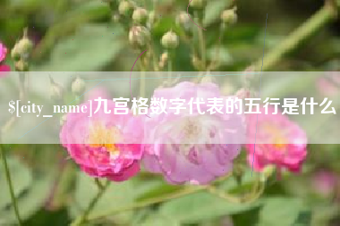 菏泽九宫格数字代表的五行是什么