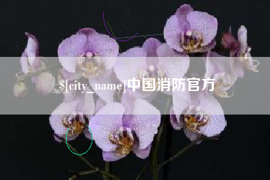 菏泽中国消防官方