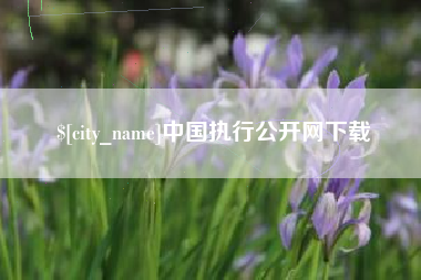 菏泽中国执行公开网下载