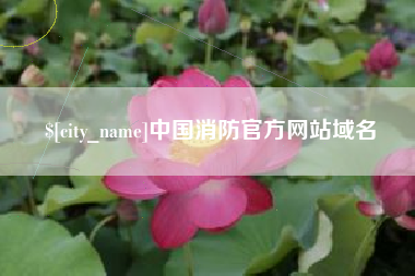 菏泽中国消防官方网站域名
