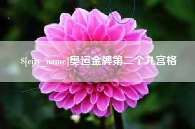 菏泽奥运金牌第二个九宫格