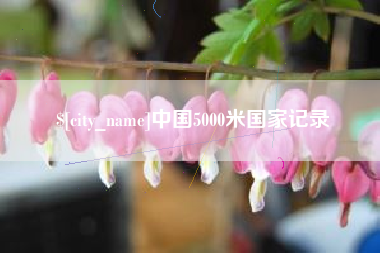 菏泽中国5000米国家记录
