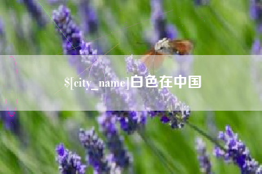 菏泽白色在中国