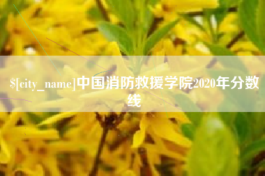 菏泽中国消防救援学院2020年分数线