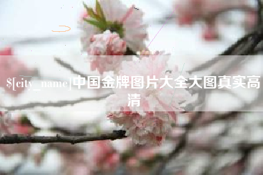 菏泽中国金牌图片大全大图真实高清