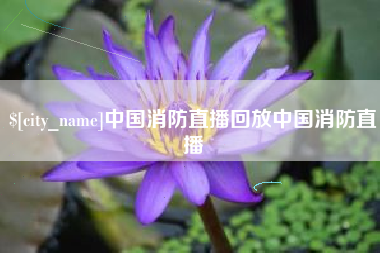 菏泽中国消防直播回放中国消防直播