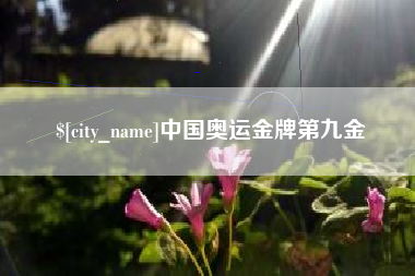 菏泽中国奥运金牌第九金