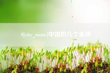 菏泽中国的几个金牌