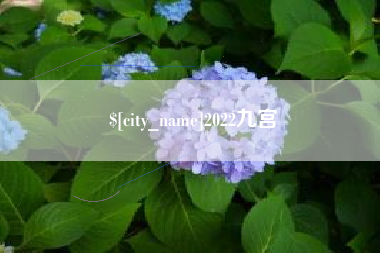 菏泽2022九宫
