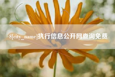 菏泽执行信息公开网查询免费