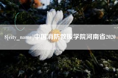 菏泽中国消防救援学院河南省2020