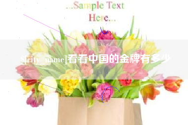 菏泽看看中国的金牌有多少